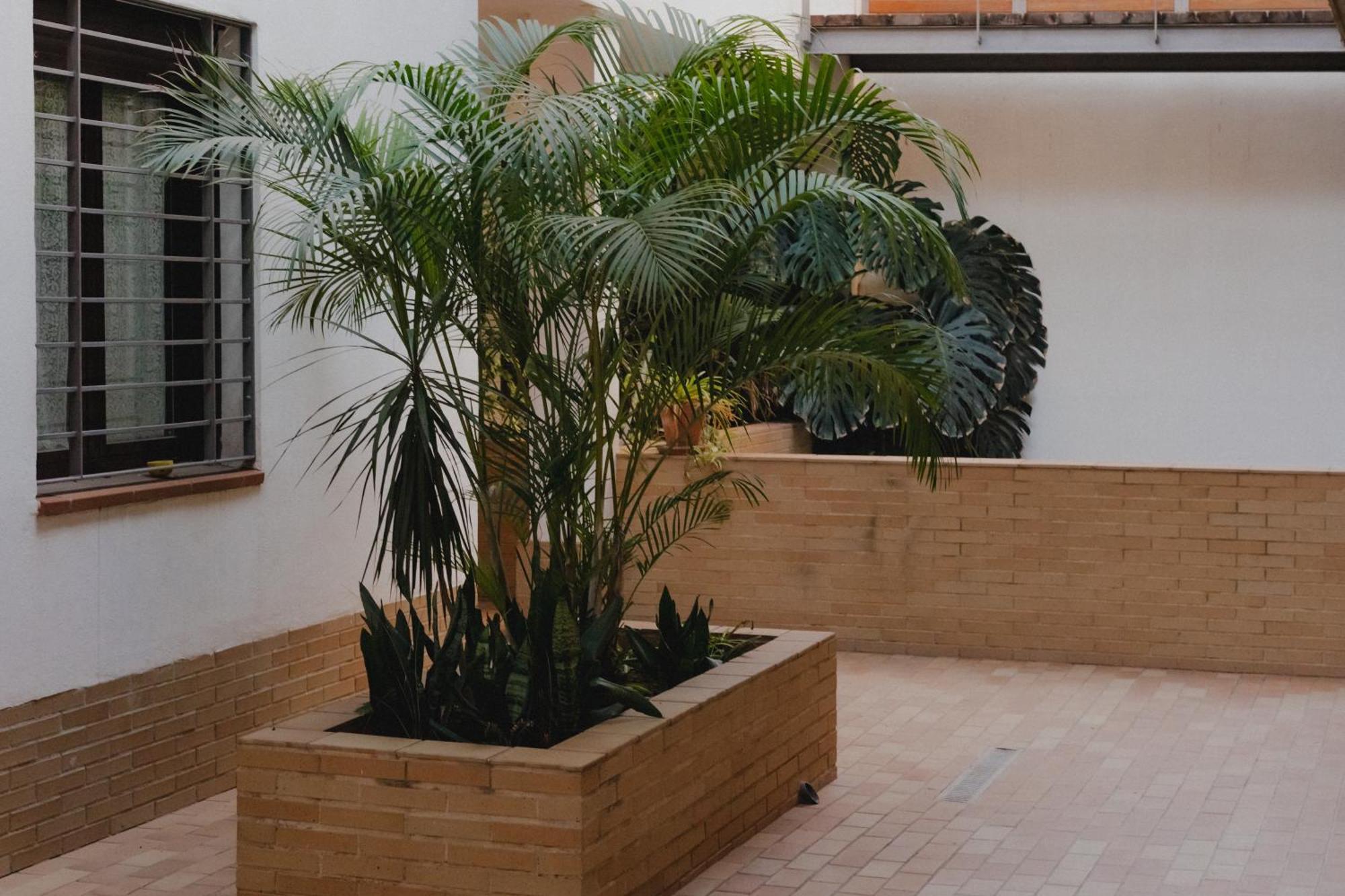 Suite Zamorano Màlaga Exteriér fotografie