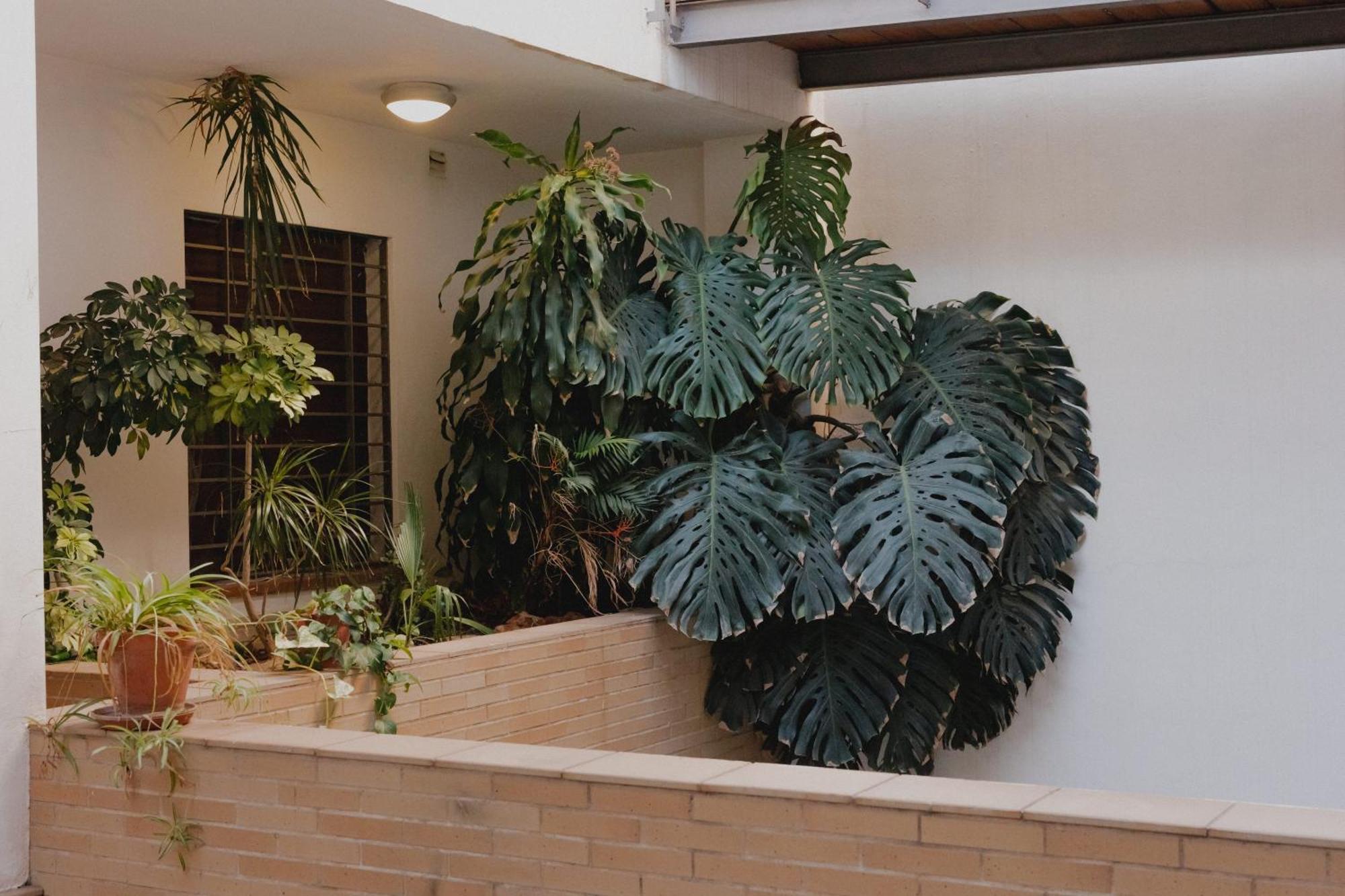 Suite Zamorano Màlaga Exteriér fotografie